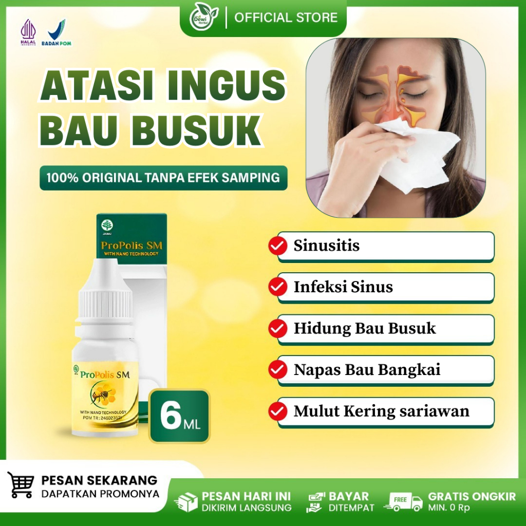 Jual Obat Ingus Bau Telur Busuk, Lendir Hidung Berbau Busuk, Sinusitis ...