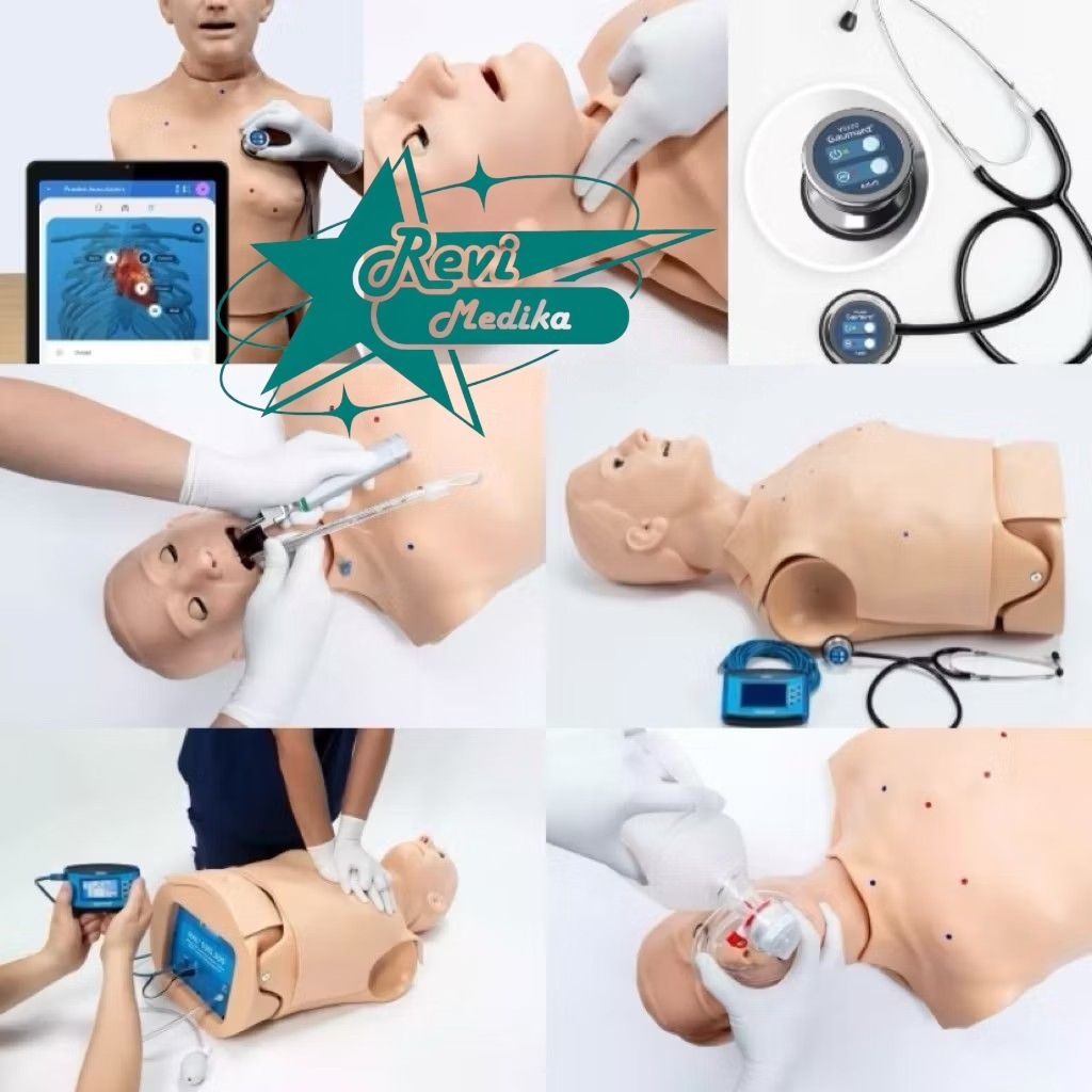 Jual Gaumard HAL S315.300 - Airway, CPR, and Auscultation Skills ...