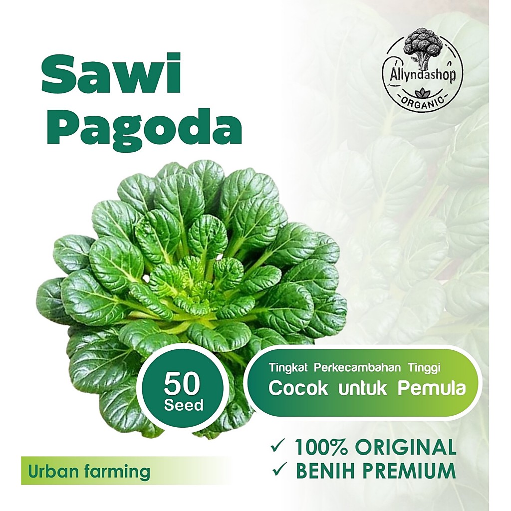 Benih Bibit Sayuran Sawi Pagoda Unggul
