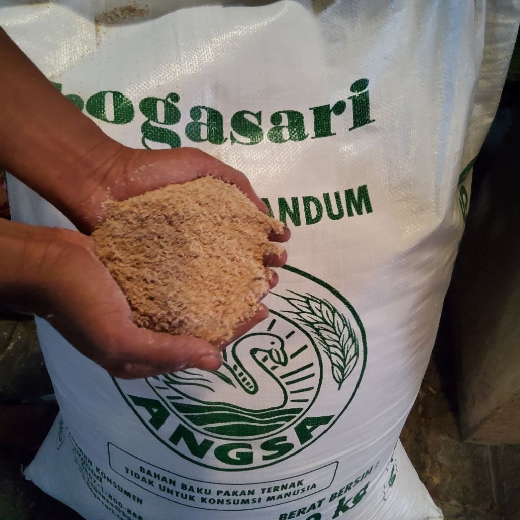 Jual Polard Gandum Cap Angsa 500 gr - Sentrat Sapi, Kambing, Domba ...