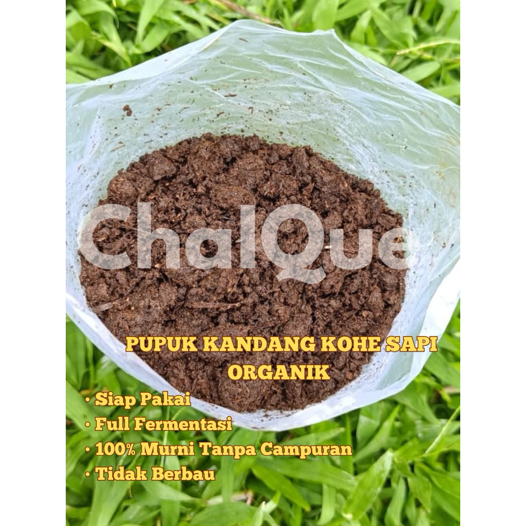 Jual PUPUK KERING KOHE SAPI HALUS KEMASAN 1KG FERMENTASI SIAP PAKAI ...