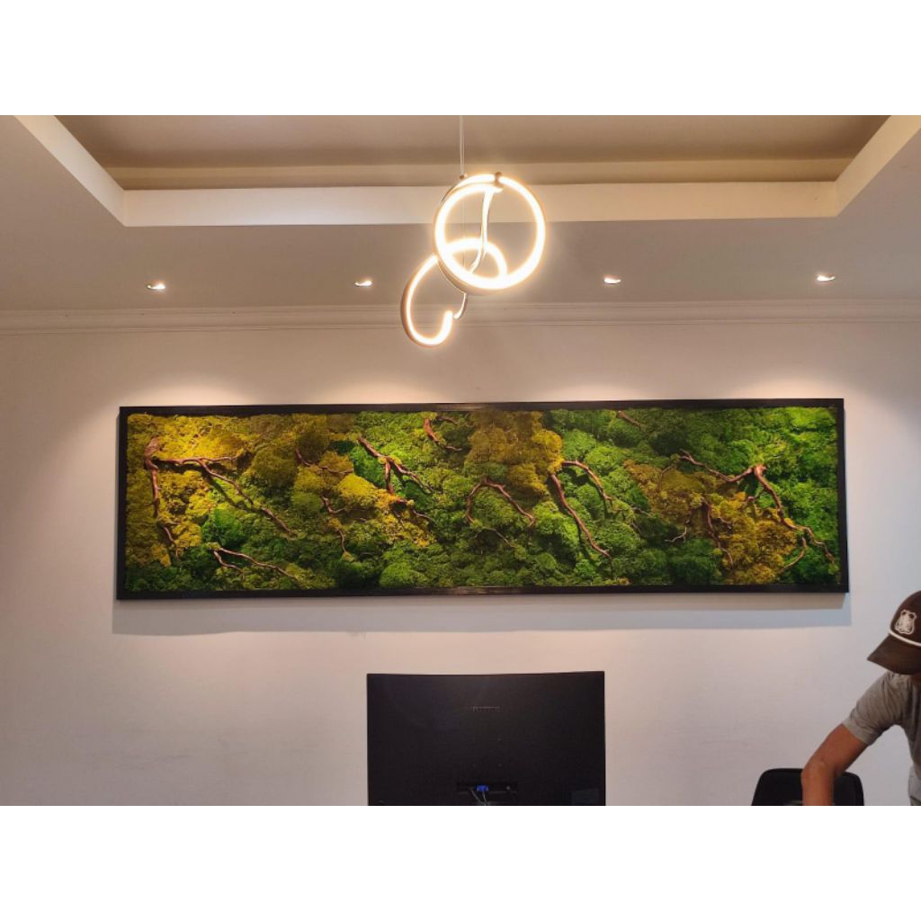 Jual Moss Wall Pembuatan Vertical Garden Moss Wall Lumut Pembuatan ...