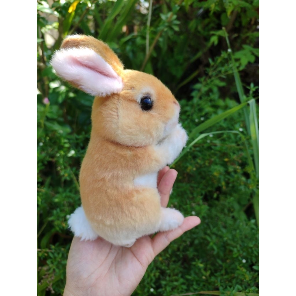 Jual boneka kelinci mirip asli warna oren original real rabbit yell ...