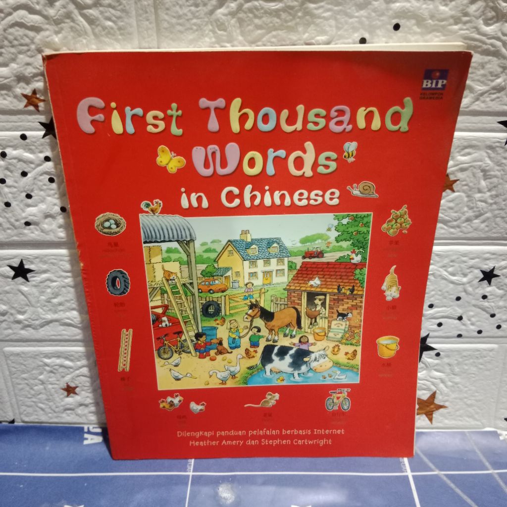 Jual BUKU FIRST THOUSAND WORDS IN CHINESE | Shopee Indonesia