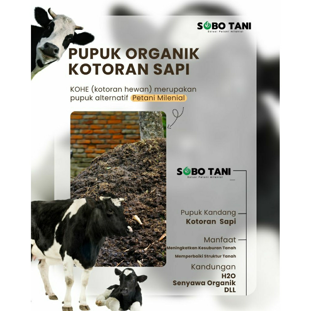 Jual pupuk kandang kotoran sapi karung 20 kg | Shopee Indonesia