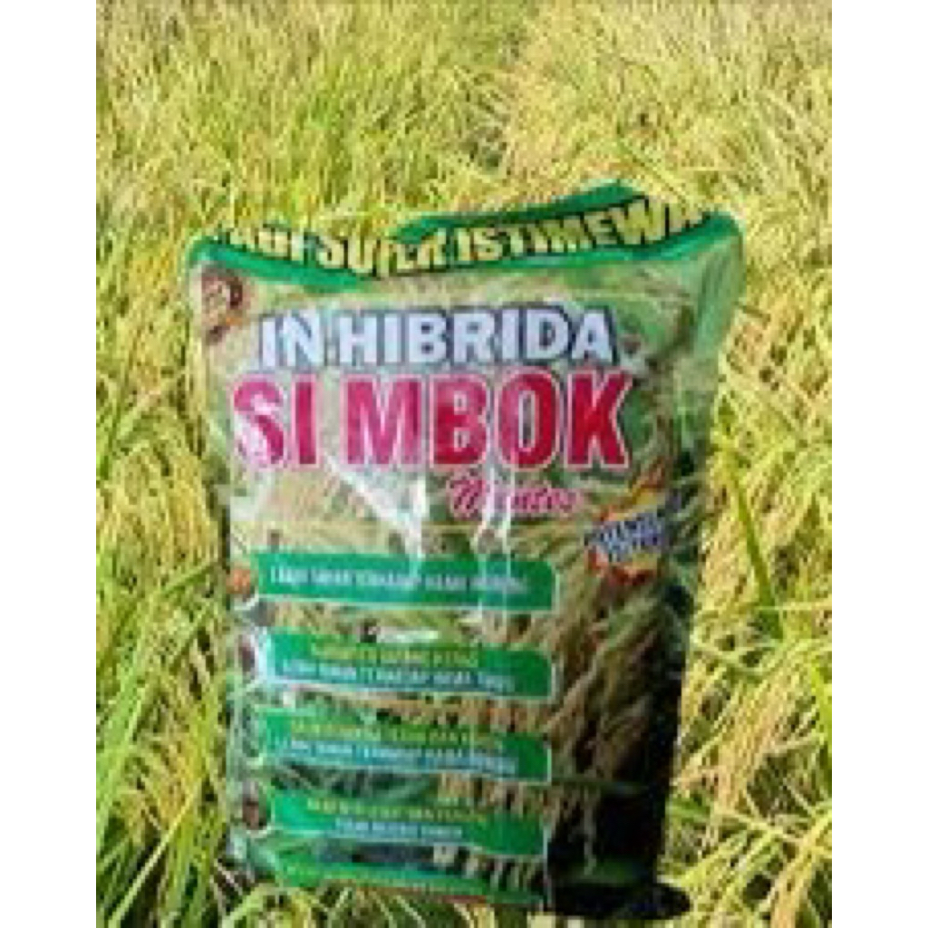 Jual BENIH PADI SIMBOK MENTES ORIGINAL KEMASAN 5kg | Shopee Indonesia
