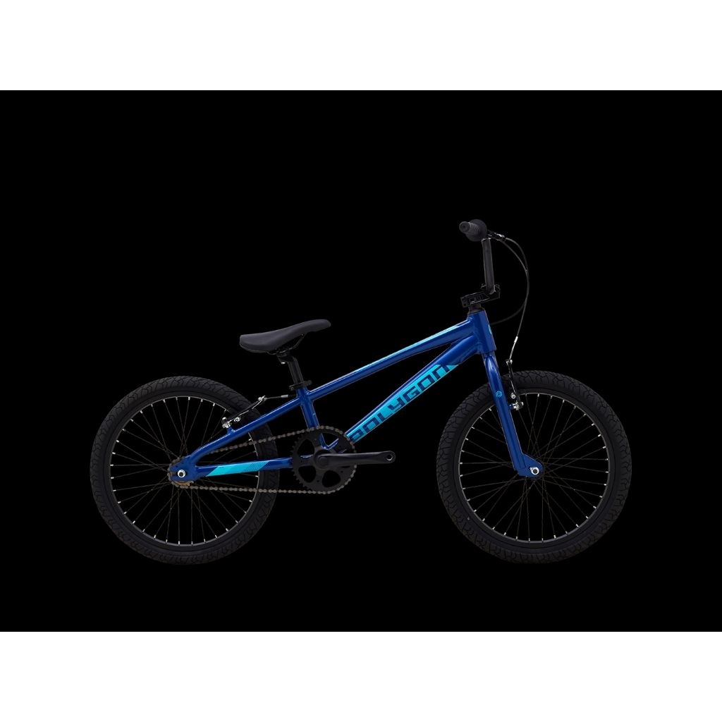 Jual sepeda BMX polygon ROGUE | Shopee Indonesia