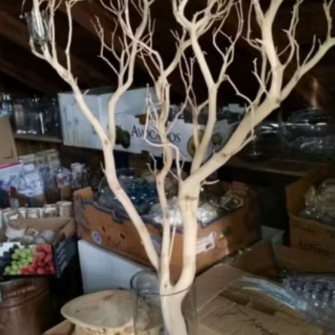 Jual Ranting Kayu Kering Dekorasi Alami Sudah Kupas Halus/120cm ...