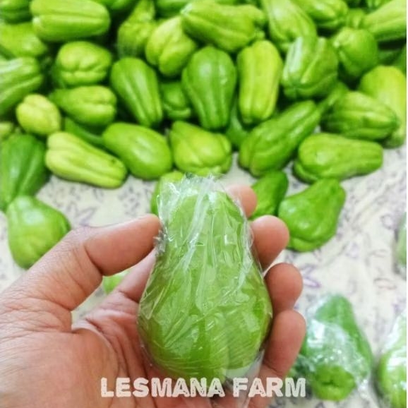 Jual labu siam kecil baby fresh dari kebun 500gr/1kg | Shopee Indonesia