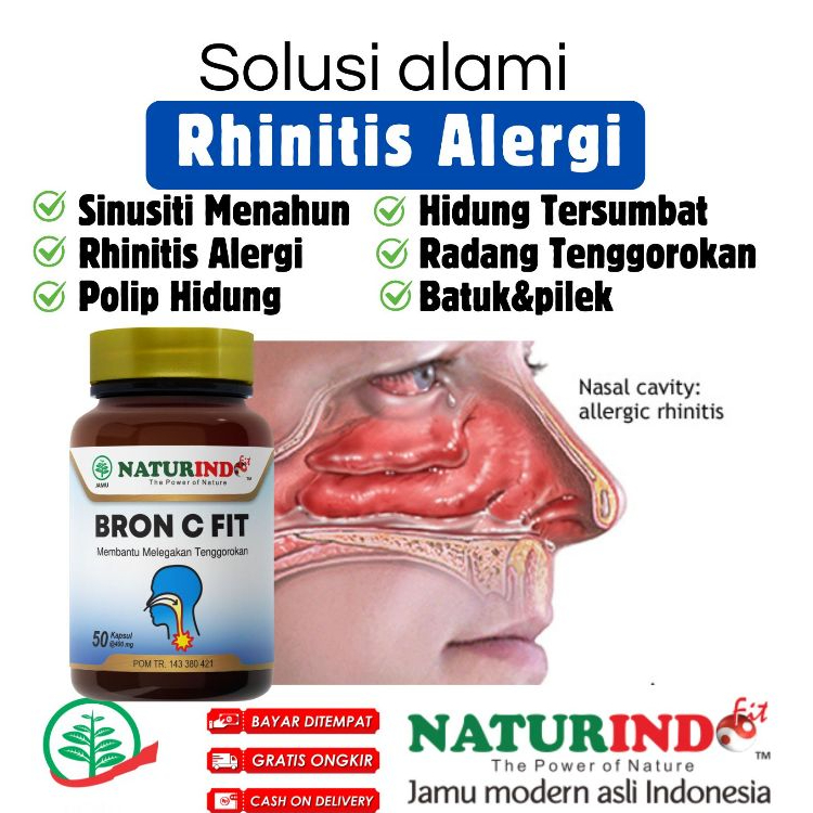 Jual Obat Rhinitis Alergi Hidung Bersin Herbal Bron C Fit Naturindo ...