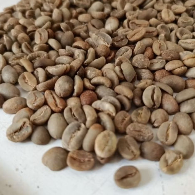 Jual Green Bean Arabica Flores Pulp Natural 1 Kg | Shopee Indonesia