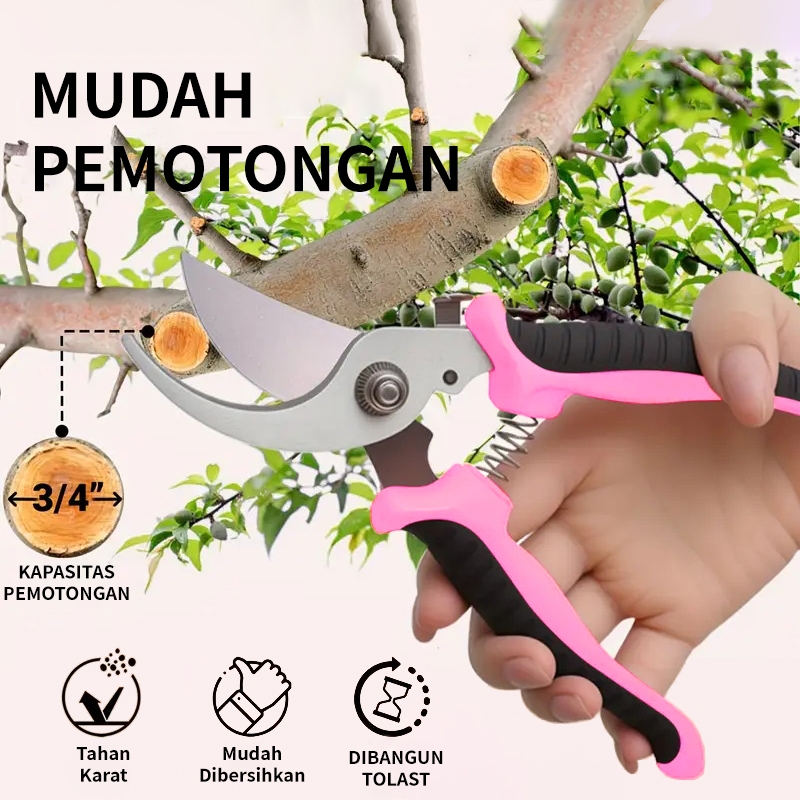 Jual Gunting Dahan Dan Ranting Bunga 4pc Tanaman Gunting Kebun/Pruning ...