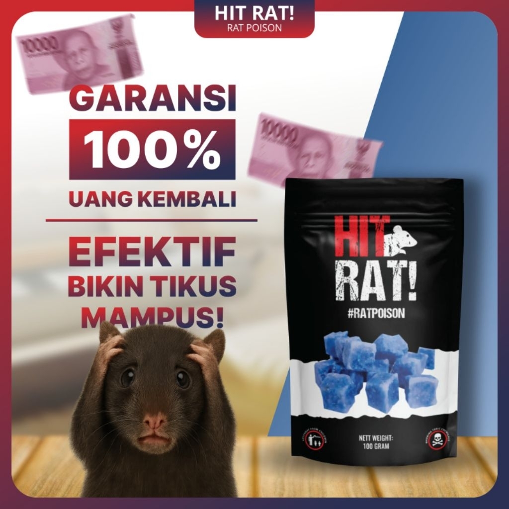 Jual RACUN PEMBASMI TIKUS KERING HIT RAT 100 GRAM RACUN TIKUS AMPUH ...