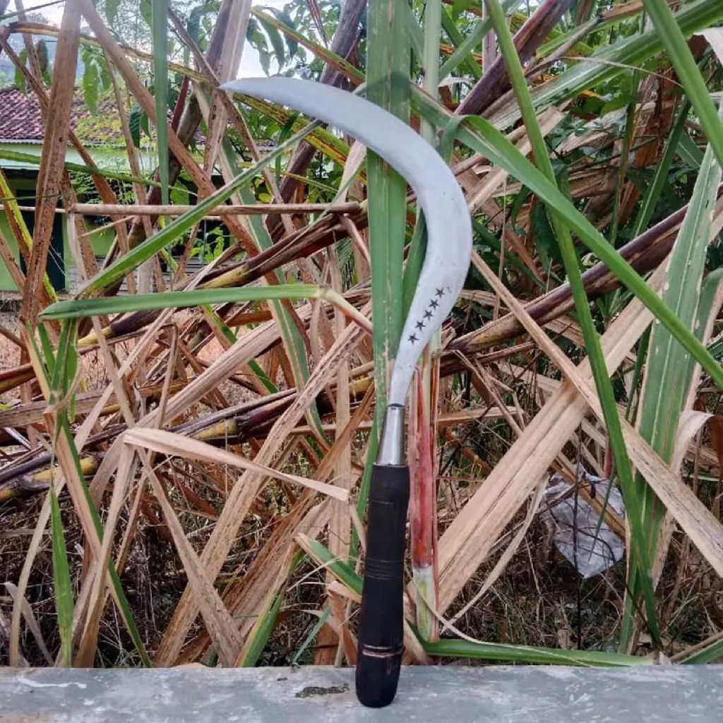Jual aret/sabit bintang lima, sabit untuk rumput dan ranting, bahan ...