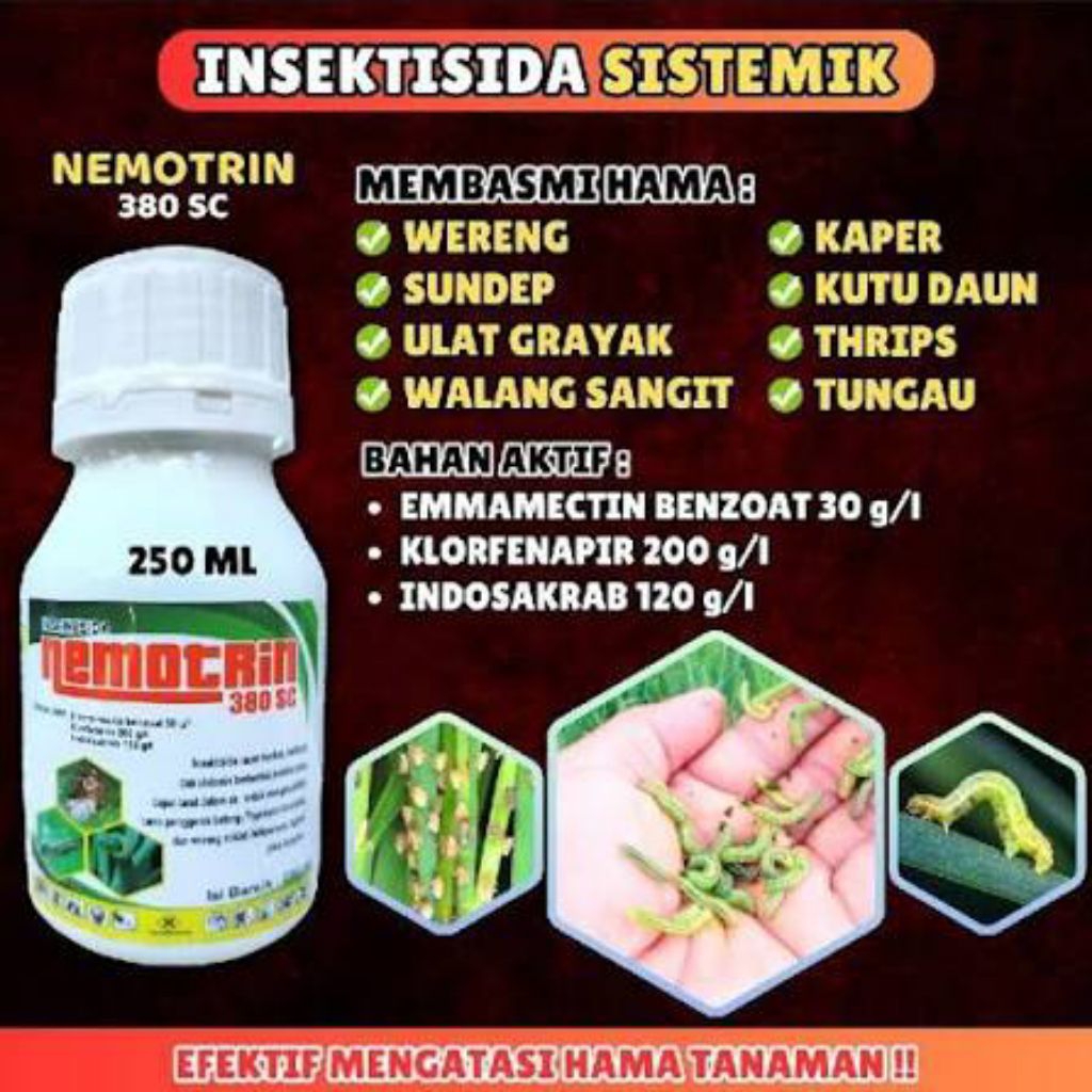 Jual neotrin insektisida 380 sc obat pembasmi hama gulma rumput liar ...