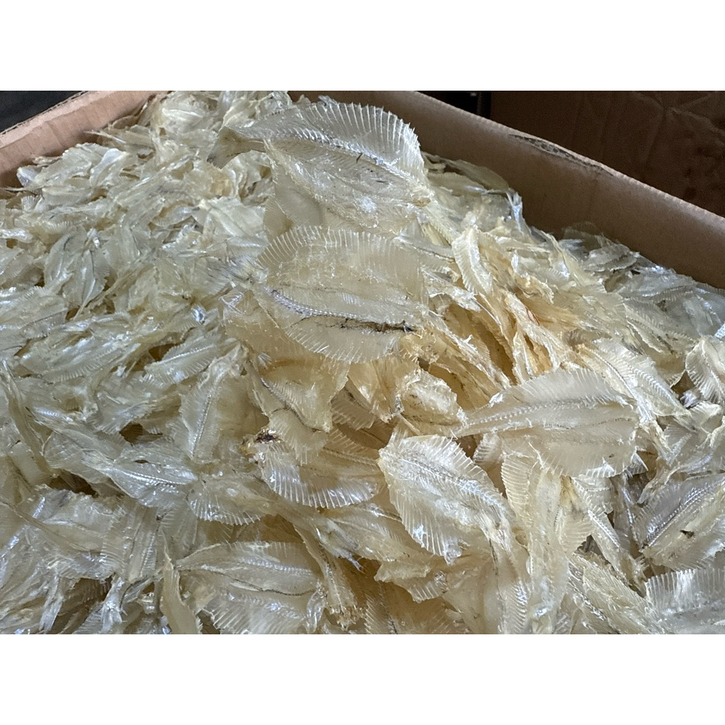 Jual ikan asin rampai atau kalapan atau ikan asin tipis super quality ...