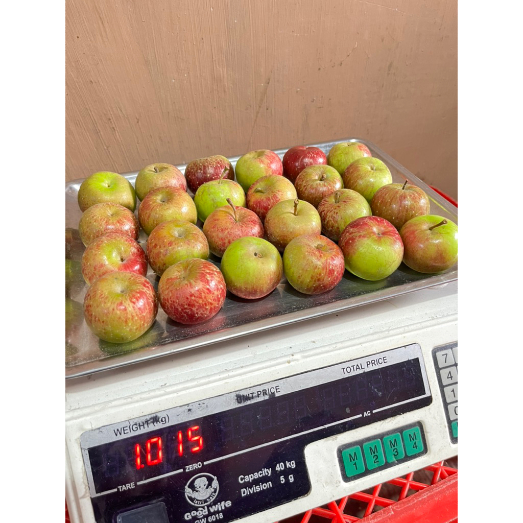 Jual Apel Rome Beauty Ukuran Cherry 1kg Isi 24-30 Buah / Apel Malang ...