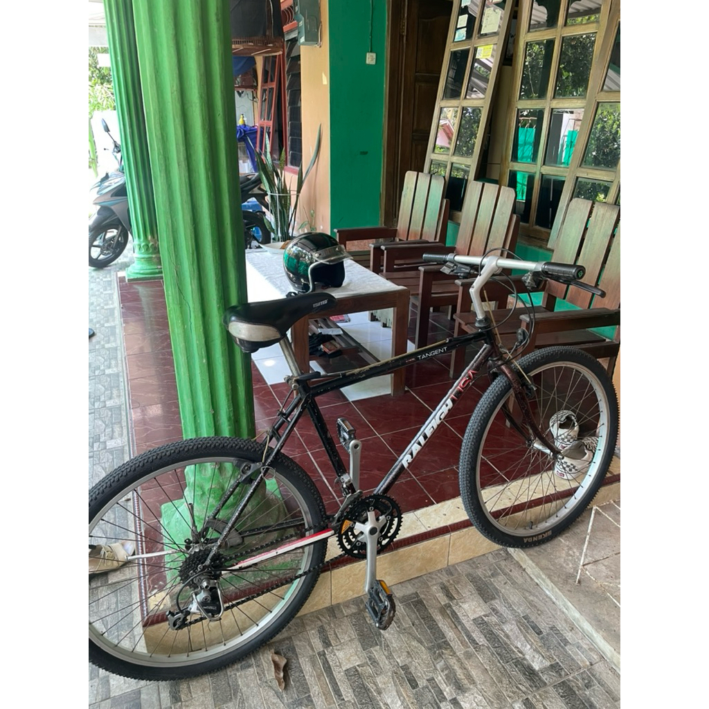 Jual SEPEDA RALEIGH USA | Shopee Indonesia
