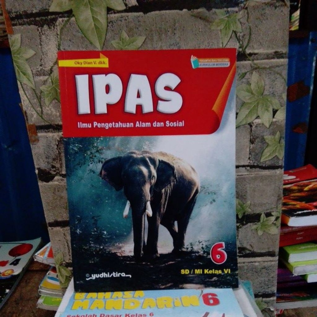 Jual original buku ilmu pengetahuan alam dan sosial untuk SD kelas 6 ...