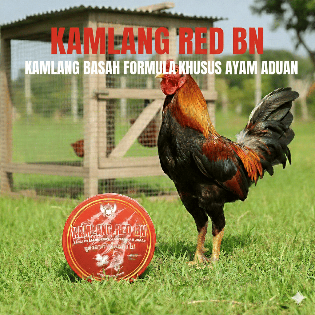 Jual KAMLANG RED BN Kamlang basah ayam aduan khas thailand untuk ...