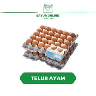 Telur Ayam