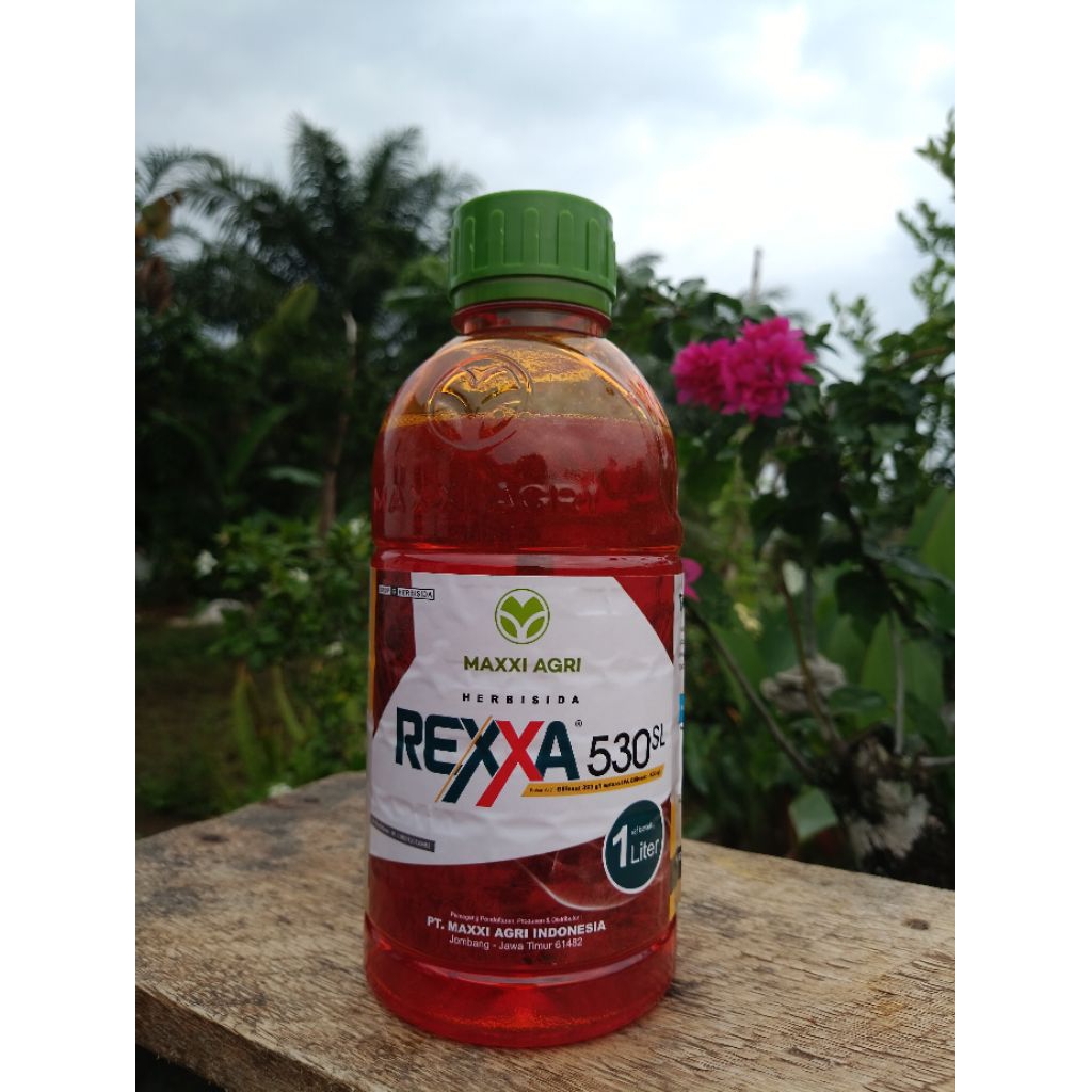 Jual REXXA (530 SL) | Shopee Indonesia