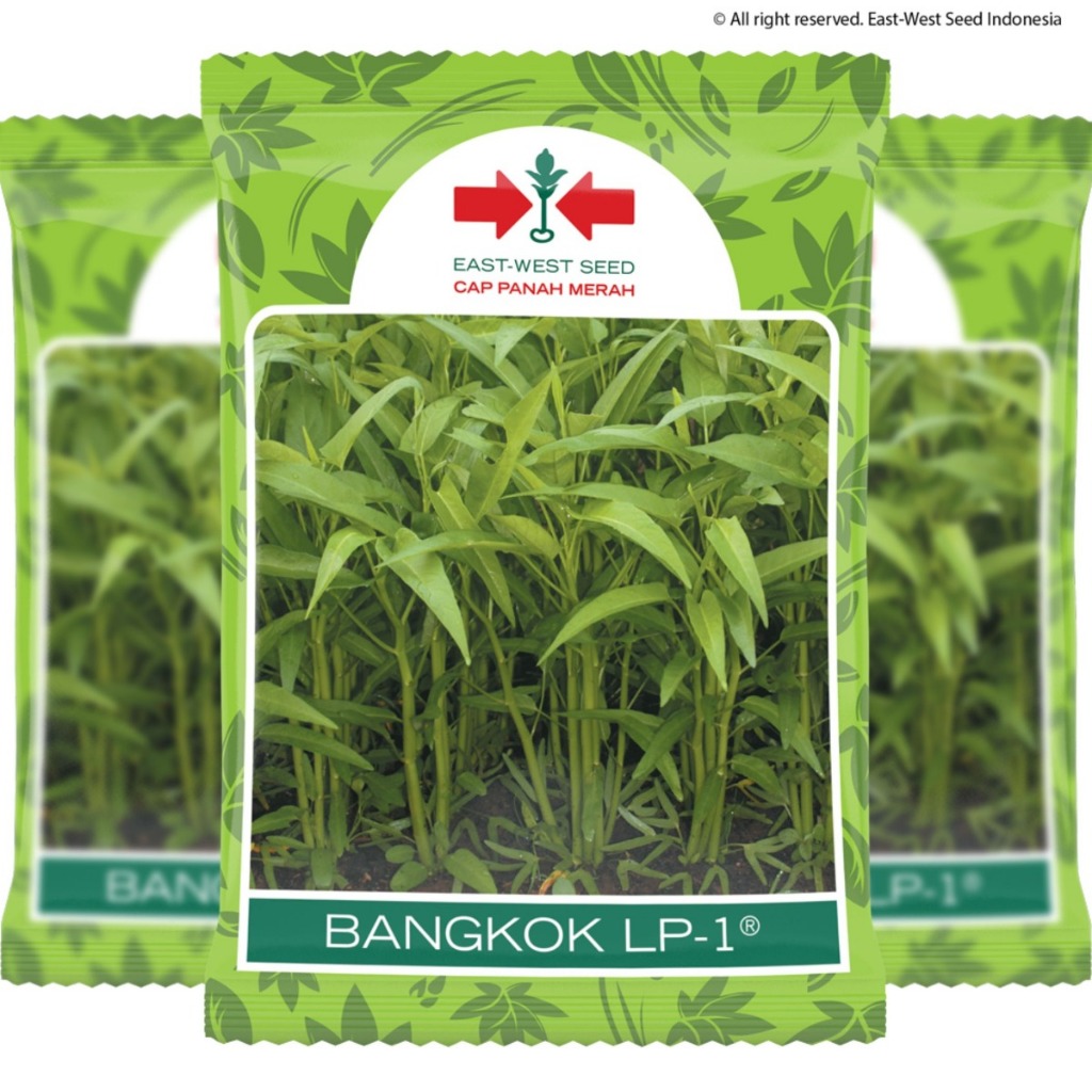 Cap panah merah - 1 KG benih kangkung BANGKOK LP-1 daun lebar