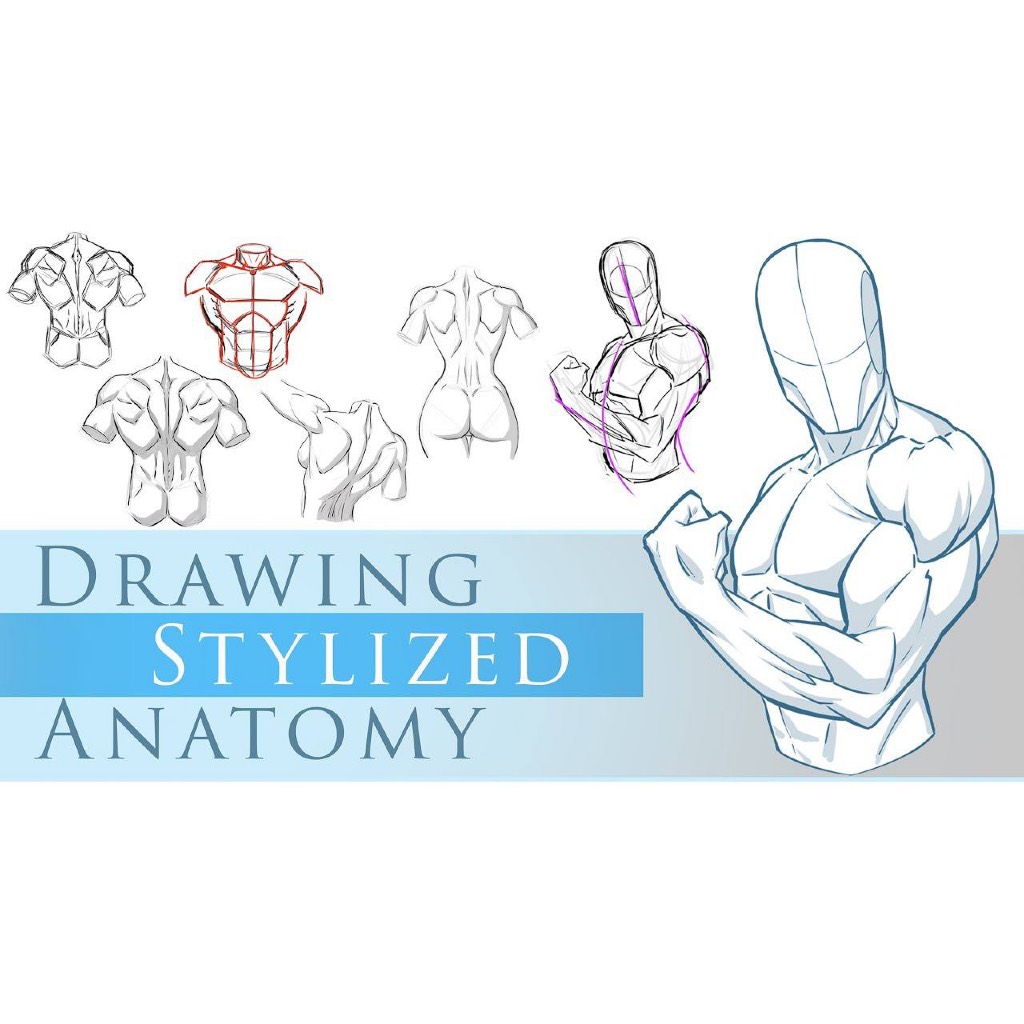 Jual How to Draw Stylized Poses and Anatomy by Robert Marzullo | Shopee ...