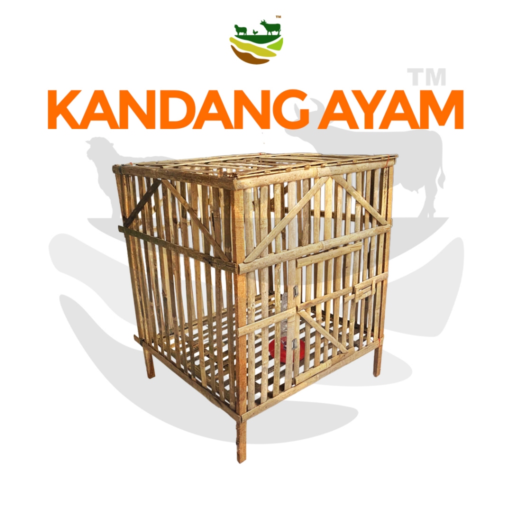 Jual Kandang Ayam Rakitan Bambu Kayu Reng 70x70x70cm | Shopee Indonesia