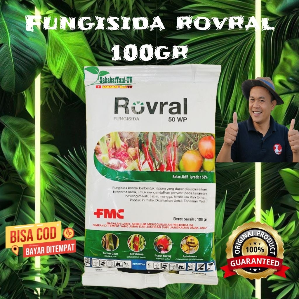 Jual FUNGISIDA ROVRAL 100GR 50WP | Shopee Indonesia