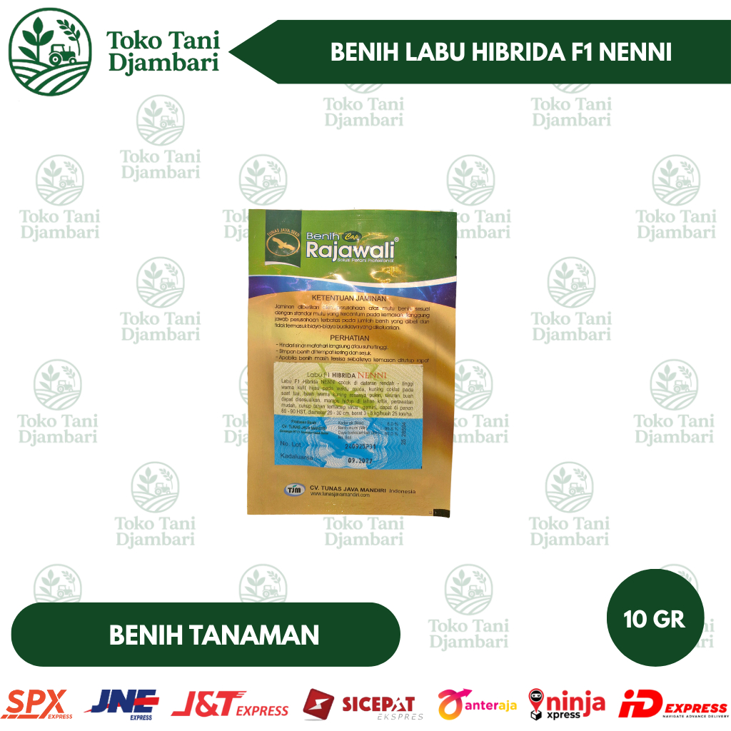 Jual Benih Labu Hibrida F1 Nenni Rajawali 10 Gram | Bibit Labu Unggul ...