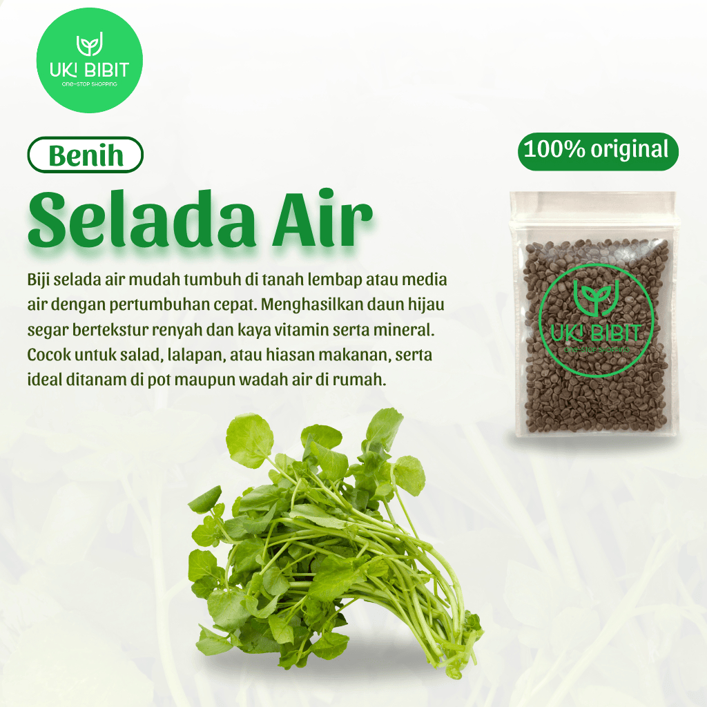 ( 1.000 Butir ) Benih Biji Selada Air | Jembak | Watercress | Nasturtium Officinale