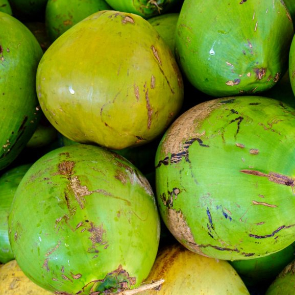 Fresh Kelapa