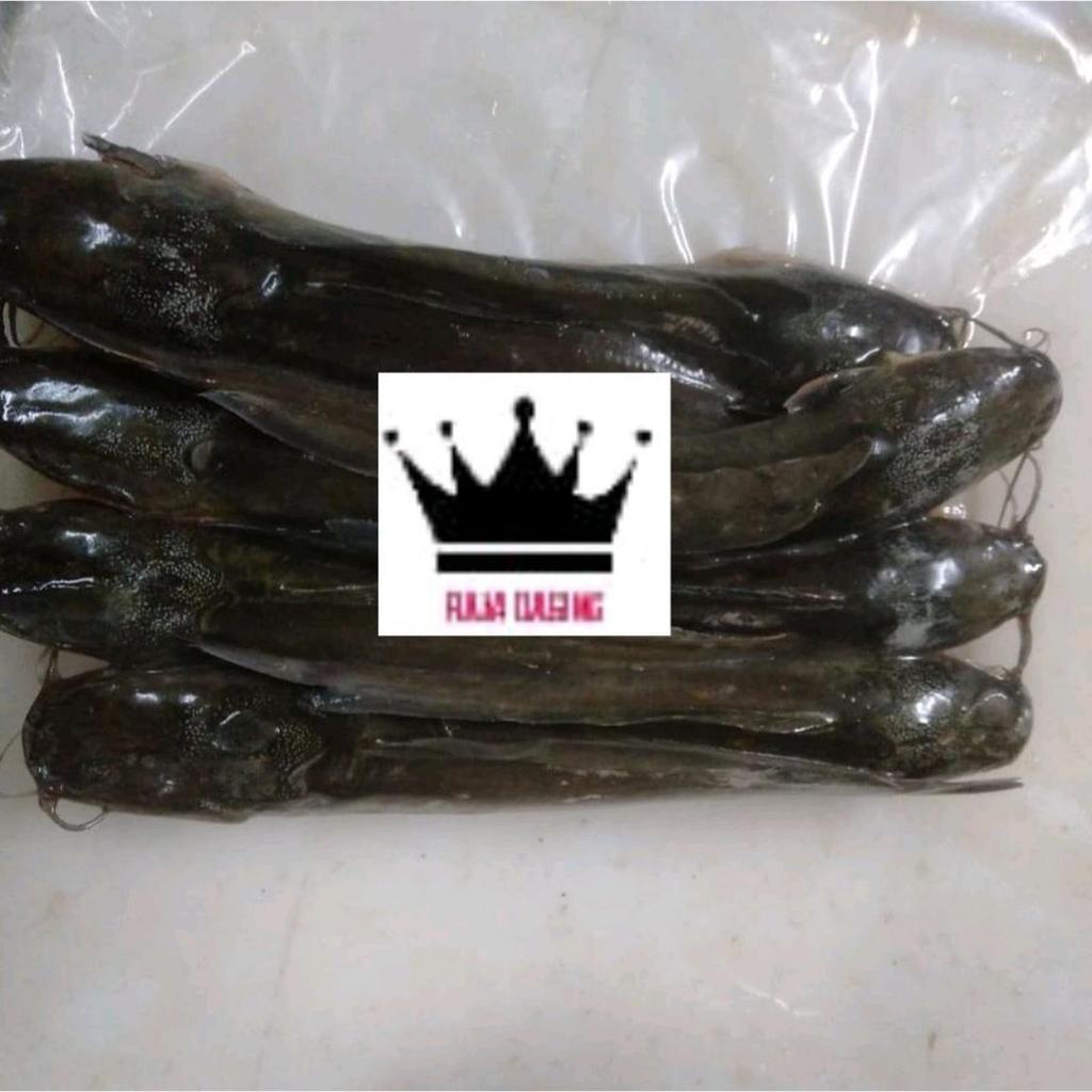 Jual Ikan Lele Fillet Frozen @1kg | Shopee Indonesia
