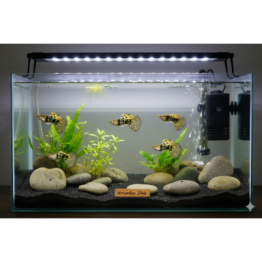 Jual Ikan Gapi Terlengkap & Harga Terbaru Juli 2026 | Shopee Indonesia