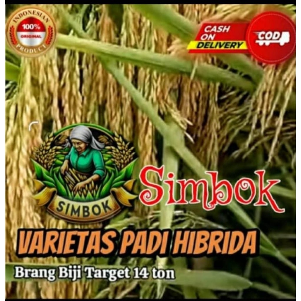Jual Benih padi simbok varietas padi hibrida 1kg | Shopee Indonesia