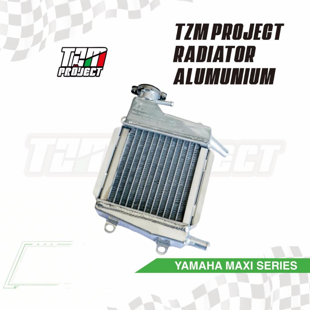 Jual TZM Project Radiator Alumunium Yamaha Nmax Aerox Lexi | Shopee ...