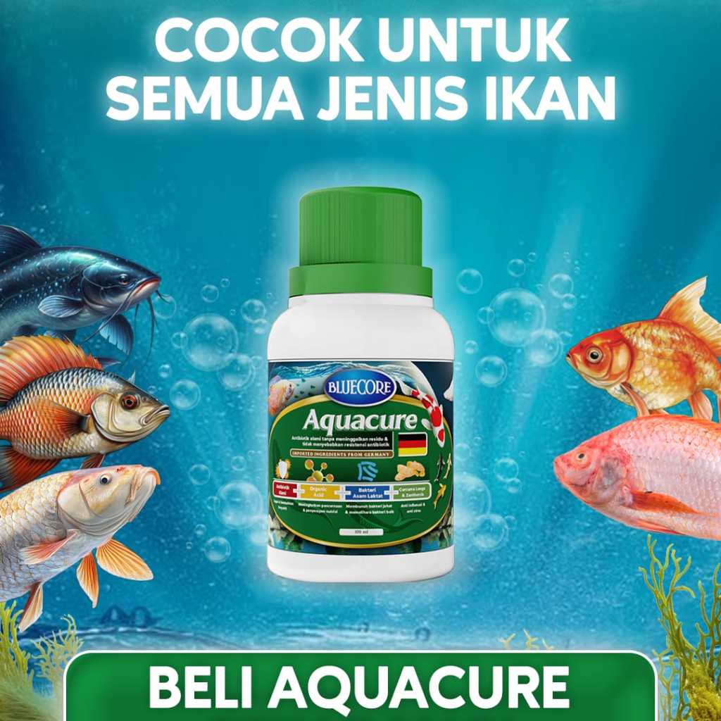 Jual Bluecore AquaCure Antibiotik Alami Ikan | Shopee Indonesia