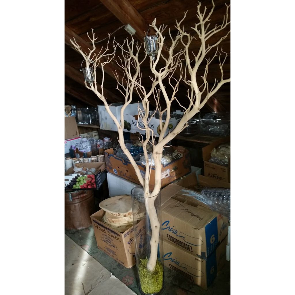 Jual Ranting Pohon Bercabang Rimbun panjang 2m Kayu Dekorasi Ranting ...