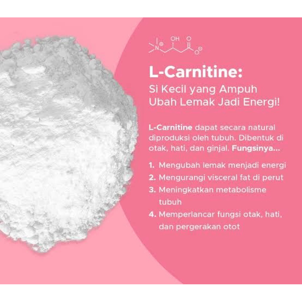 l carnitine fungsinya Tahukah kamu kalau L-Carnitine memiliki peran penting buat tubuh lho!  yang membawa asam lemak ke dalam sel tubuh bernama mitokondria ini menciptakan energi yang biasa kita gunakan dalam beraktivitas sehari-hari l carnitine fungsinya Fungsi L