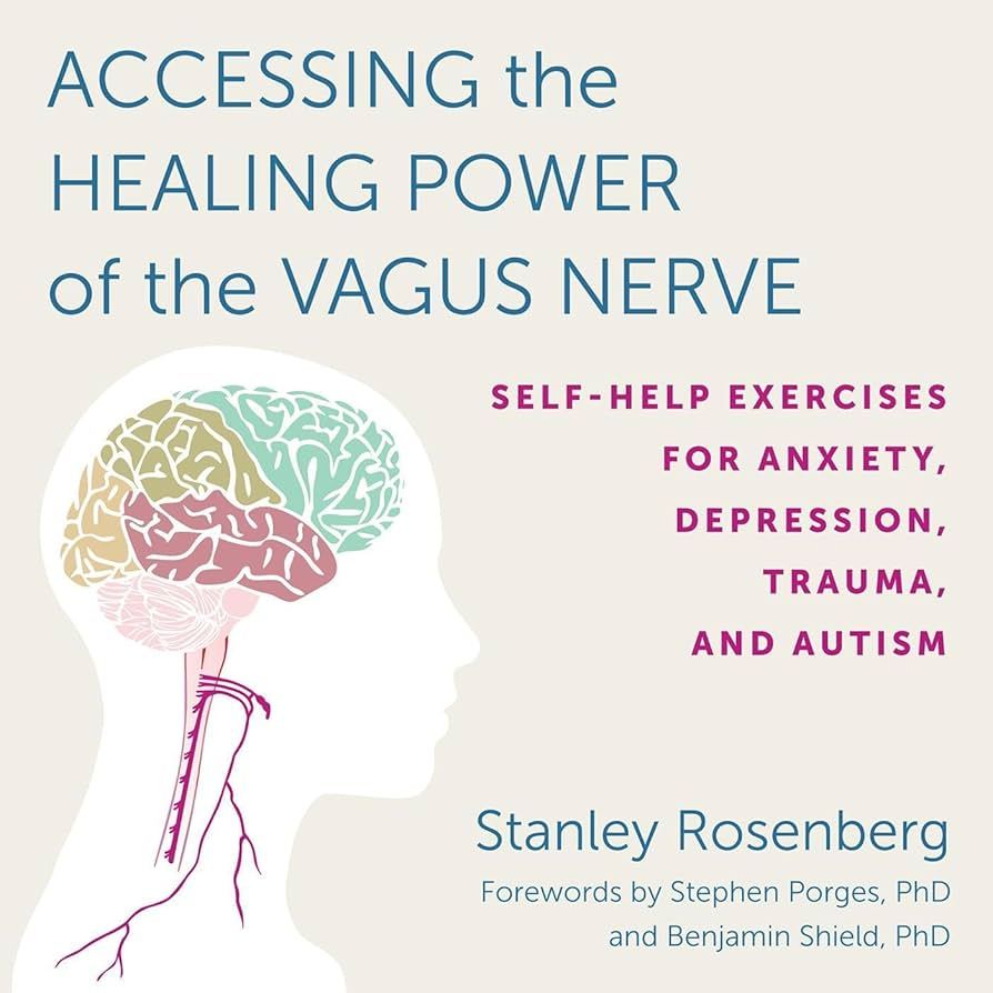 Jual Accessing the Healing Power of the Vagus Nerve: Self-Help Exercises for Anxiety, Depression ...