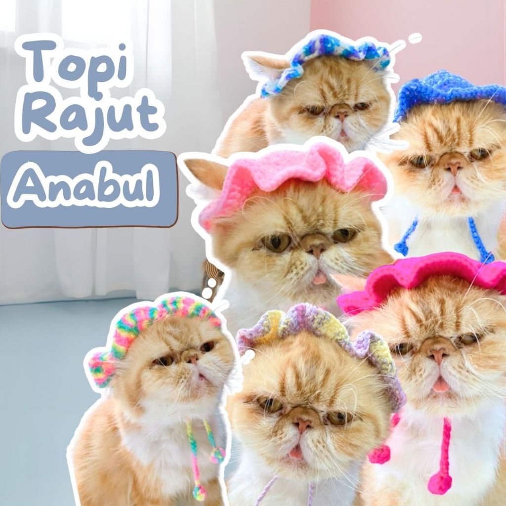 Jual Topi Kucing Rajut Lucu untuk Kucing dan Puppy topi rajut kucing ...