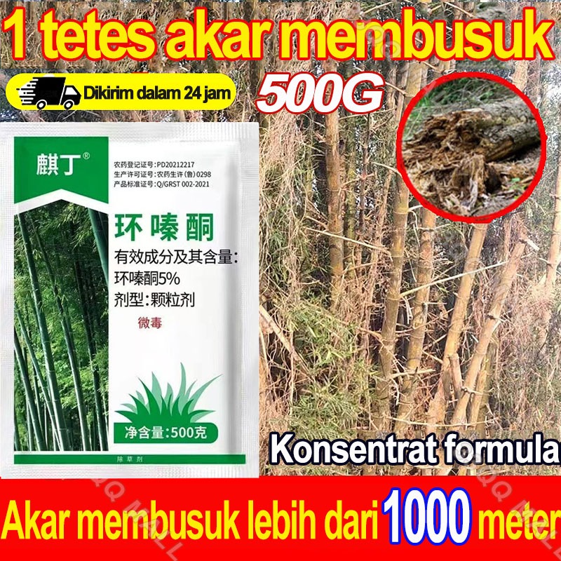 Jual Racun Pohon Besar Paling Ampuh Herbisida Pembunuh Pohon Besar Dan ...