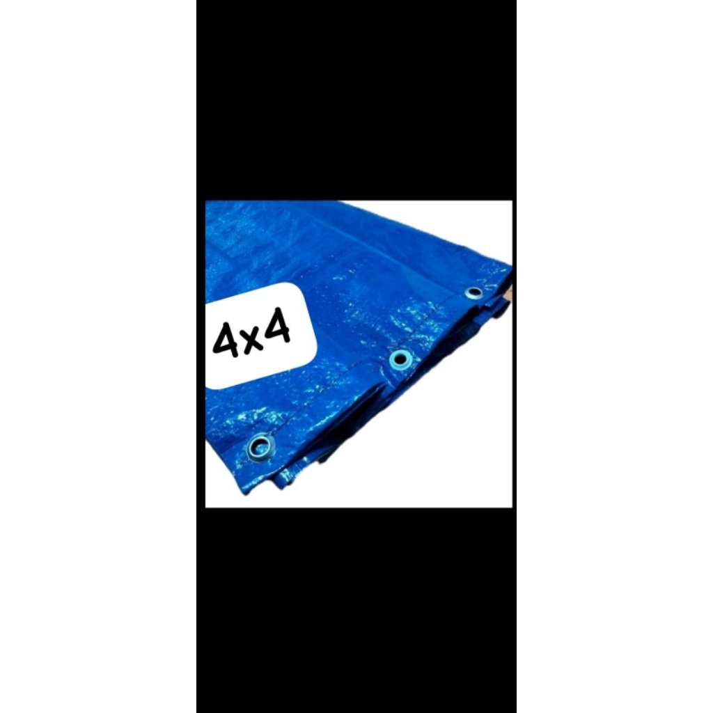 Jual TerpalA2 4x4, Terpal lembaran,Terpal plastik | Shopee Indonesia