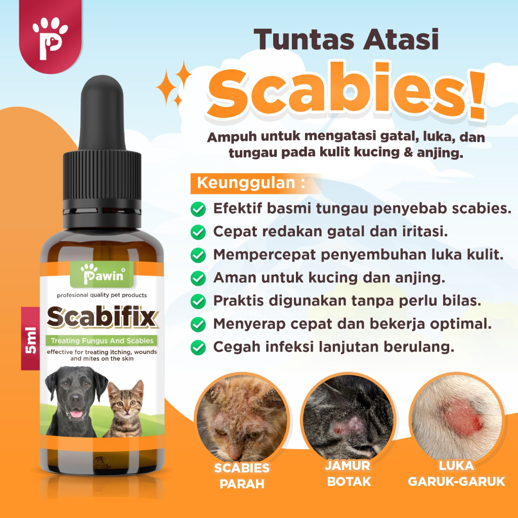 Jual SCABIFIX Obat Scabies Anjing Kucing Ampuh Basmi Jamur Scabies ...