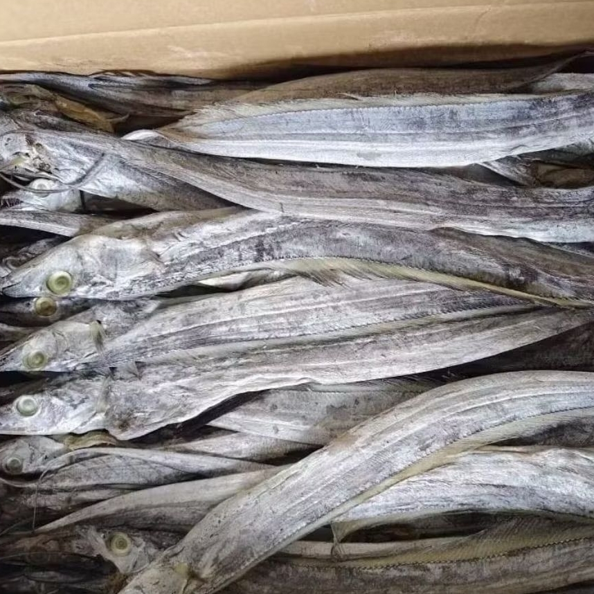 Jual Ikan Layur Terlengkap & Harga Terbaru Mei 2026 | Shopee Indonesia