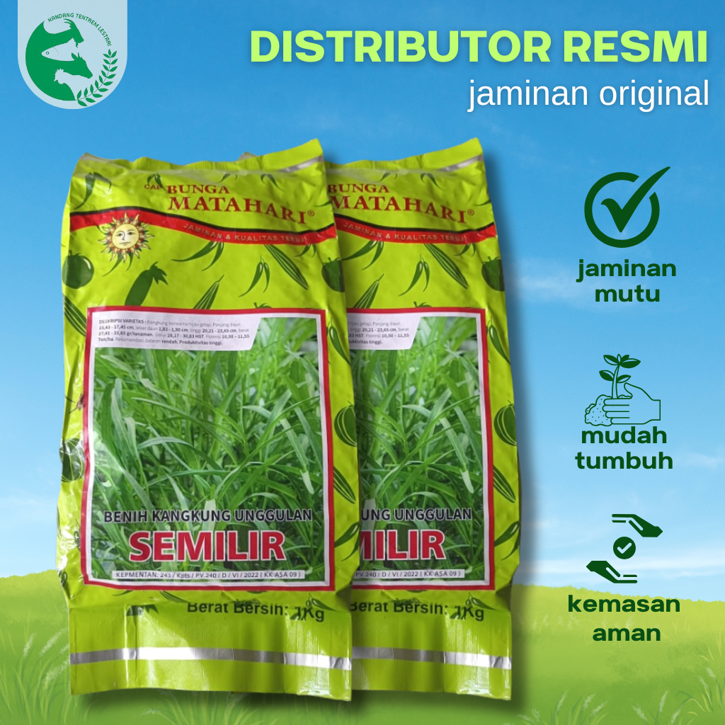 Benih Kangkung Unggul SEMILIR 1 kg Panen Melimpah Cap Bunga Mudah Dirawat Tahan Penyakit