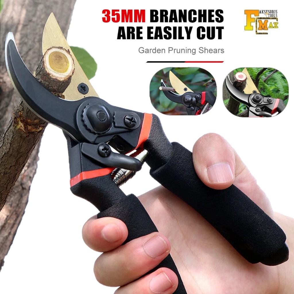Jual Gunting Ranting Pohon Terlengkap & Harga Terbaru Agustus 2026 ...