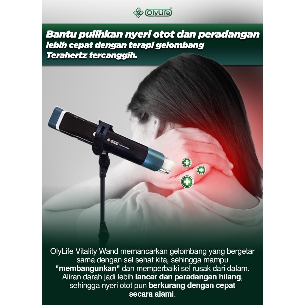Jual OLYLIFE VITALITY WAND Garansi Resmi 1 Tahun Olylife | Shopee