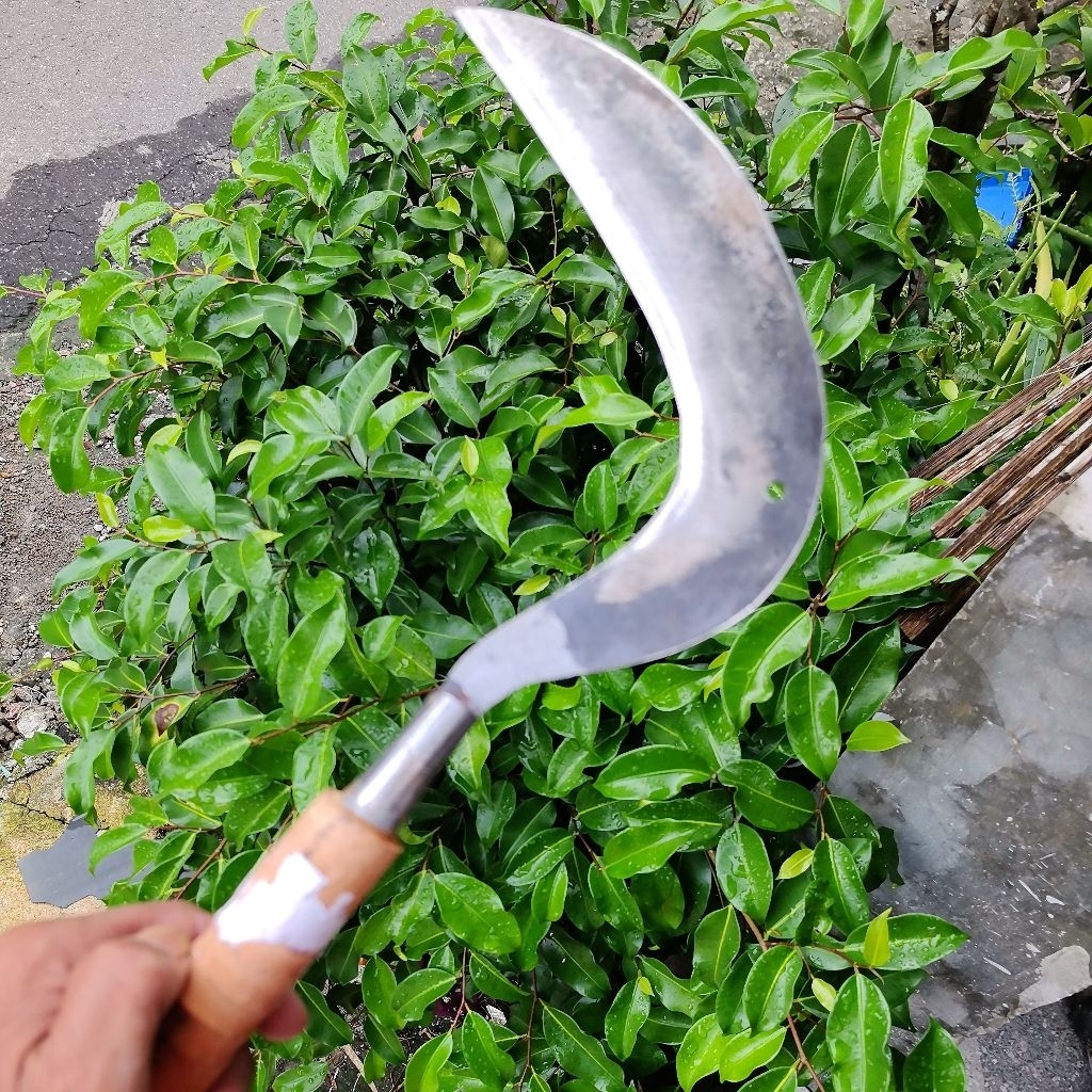 Jual spek sabit rumput dan tebas ringan kecil tipis | Shopee Indonesia